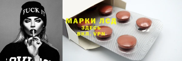 хмурый Абаза