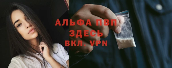 хмурый Абаза