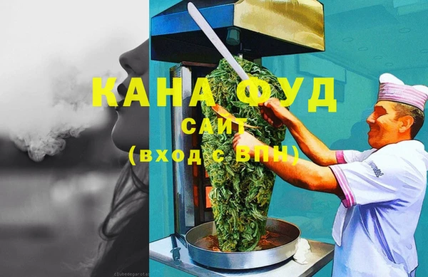 хмурый Абаза