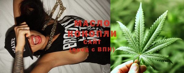 хмурый Абаза