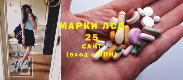 стаф Алзамай