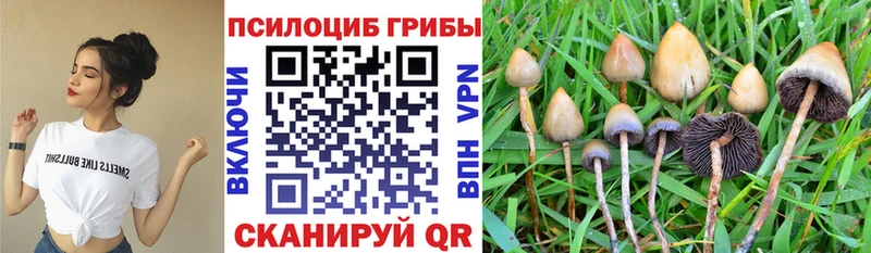 Галлюциногенные грибы MAGIC MUSHROOMS  Назрань 