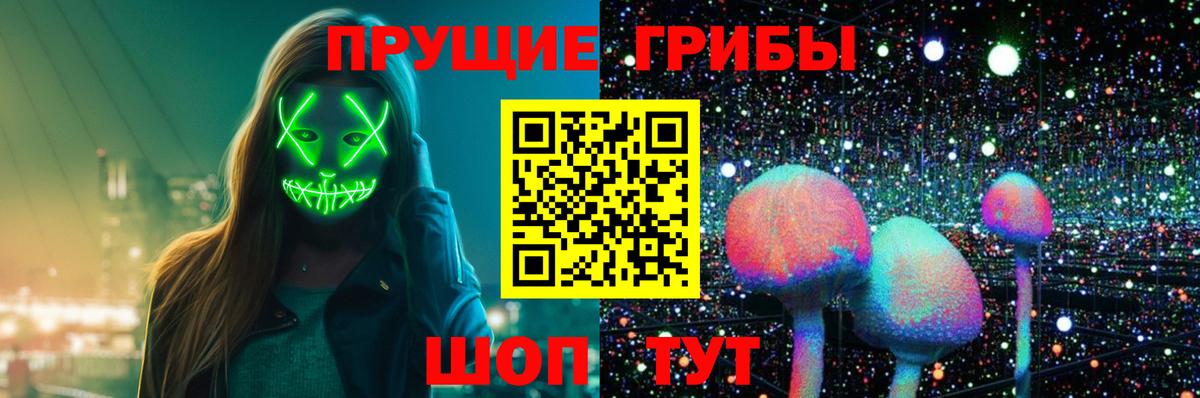 Псилоцибиновые грибы Psilocybe  Вход с VPN  Назрань 